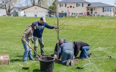 The Iowa Lion: June 2024